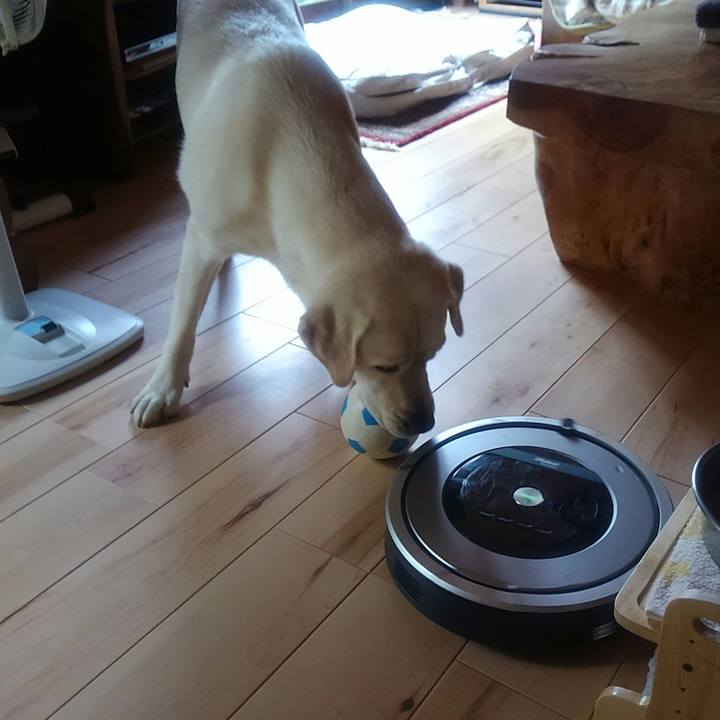 C3d951fd 87f0 498b a445 8e91a9eb2856