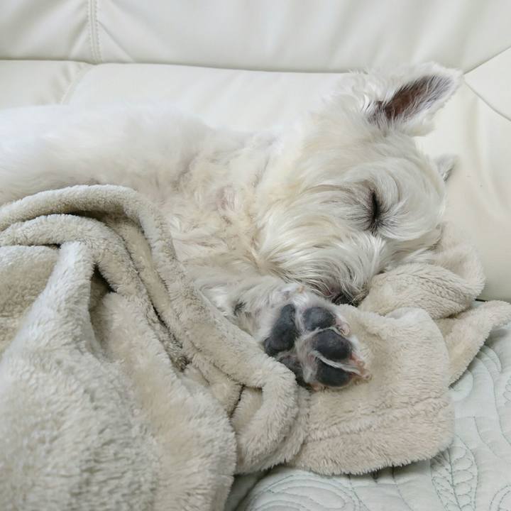 C3d9c4c3 58b3 4f0a bdca b3d6d0d1c25c