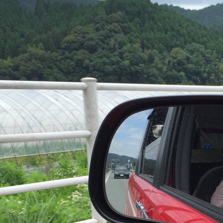 C3da3d42 1cd4 4991 a729 aa764db4613c