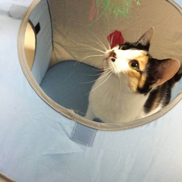 C3da529f 0efe 4223 8740 b9ba6940288b