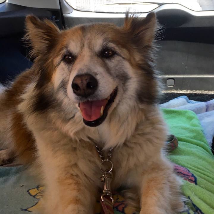 C3da6d7f cc81 4581 826c 613d3e81129a