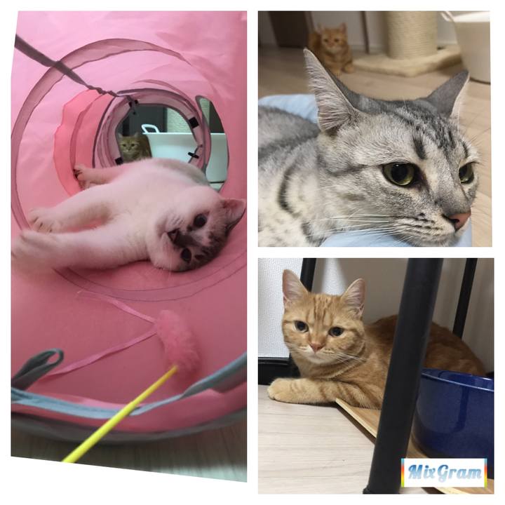 C3da9cd3 9d80 4e7b a4b8 4a0d37aa9752