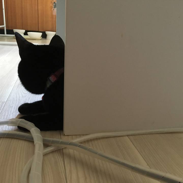 C3db1952 aeb8 4ded a4ae 333e8c9b0d96