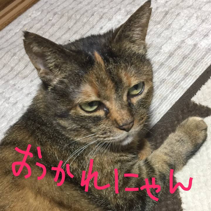 C3db4d6b eed6 4234 9c7f 552d318aa9eb