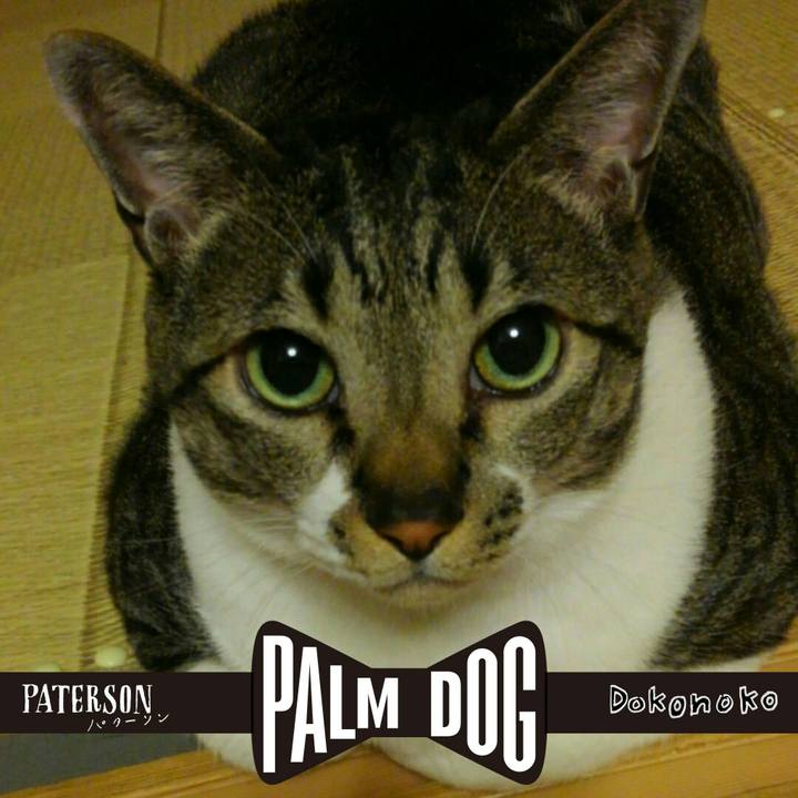 C3dbe750 f759 48c3 b1c0 f4f8591a35ed