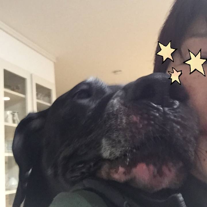 C3dcf81f 3cdc 49b2 9a93 4b521a27d9e3