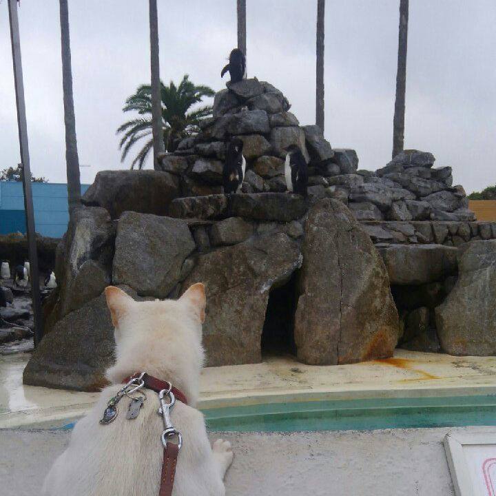 C3de3b6a 6fe1 4c90 b60e 33fecd546d6a