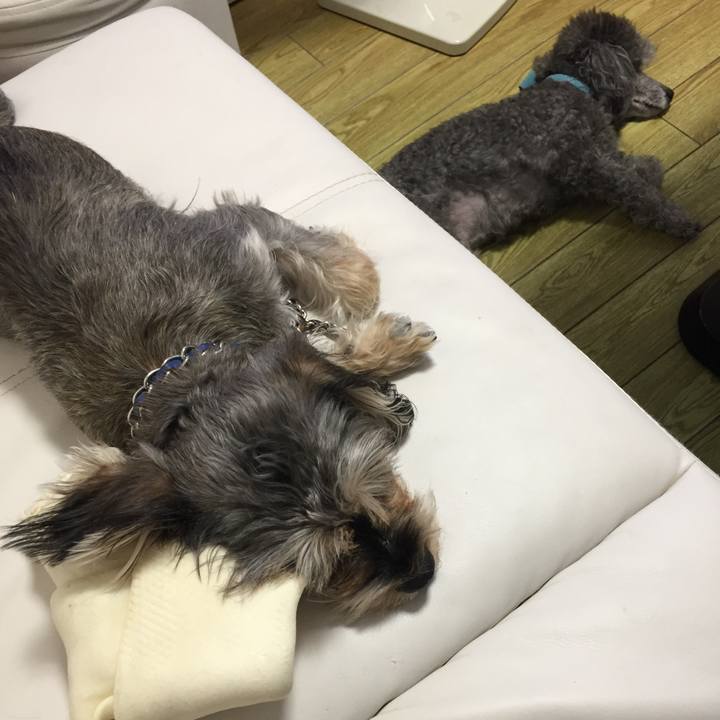 C3deb814 6a83 48b6 b100 c3ca1348ab55