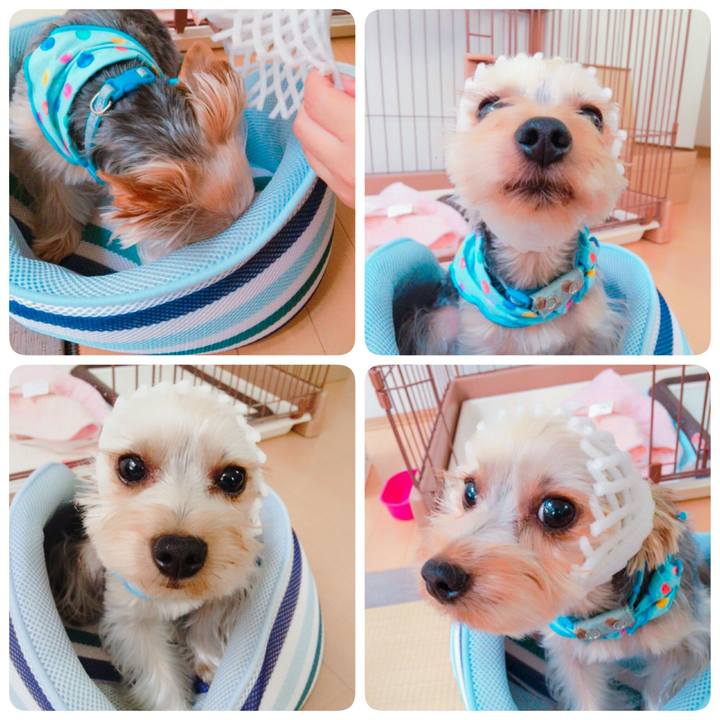 C3df3652 ac04 405c a0cd ea5c1c933c78