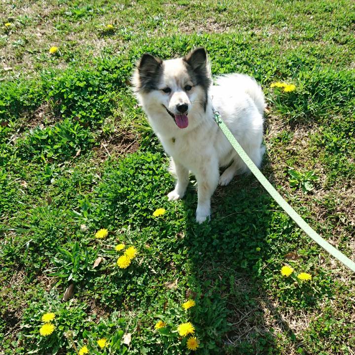 C3df5224 ca56 4e95 a239 6e817b6ebe24