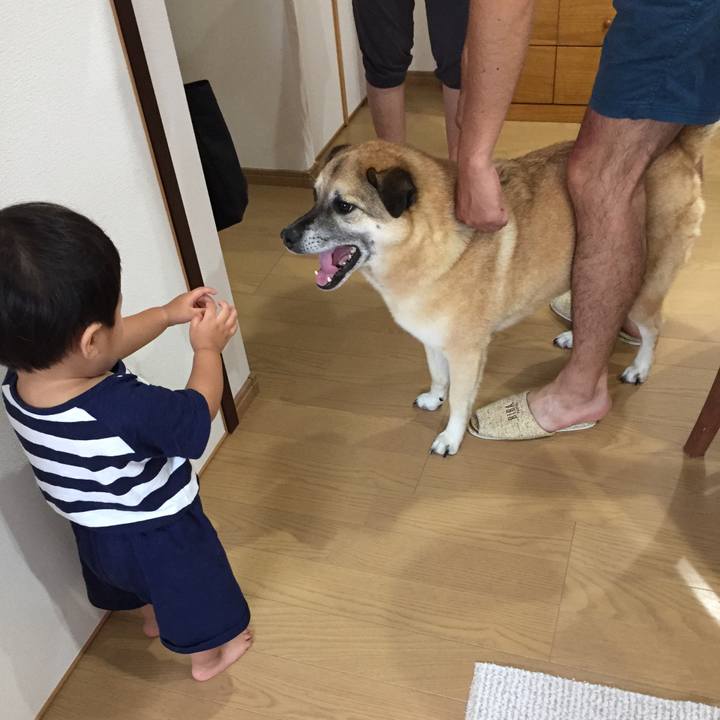 C3df9269 bae1 460e afe1 24ebd0730a5a