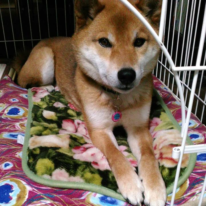 C3e04b17 8333 43ac b566 67d1646831b3