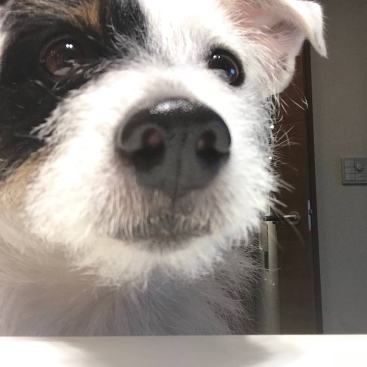 C3e04e38 1920 45a8 8e8e 1e2ce9e38472