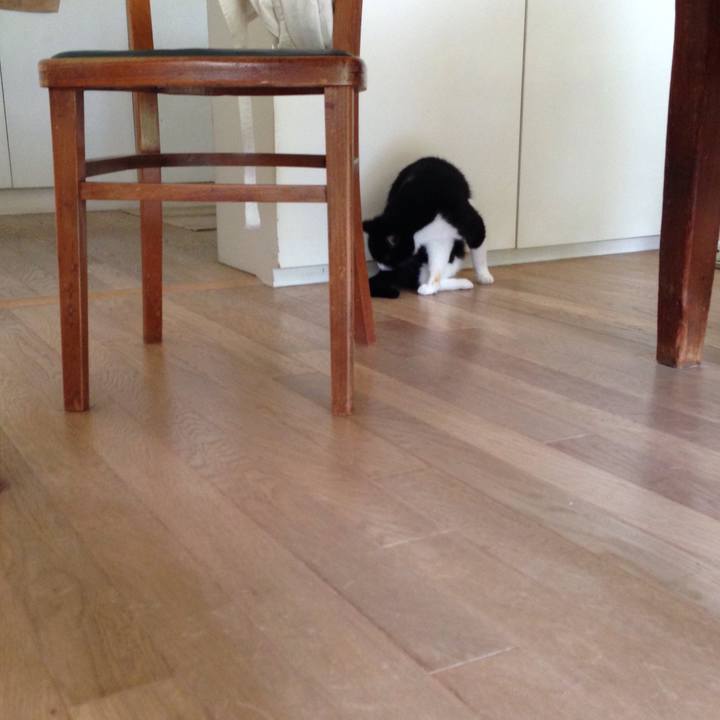 C3e0d2f9 518c 4a88 9fbb fcacda243ec8