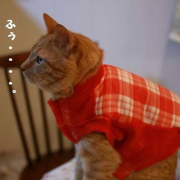 C3e0f657 e086 4c23 bbfe 93fcf9f21e66