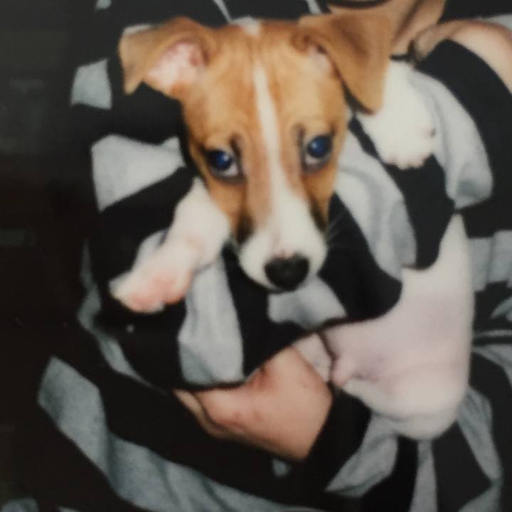 C3e152a8 246a 400d 8530 743501a3ec3d