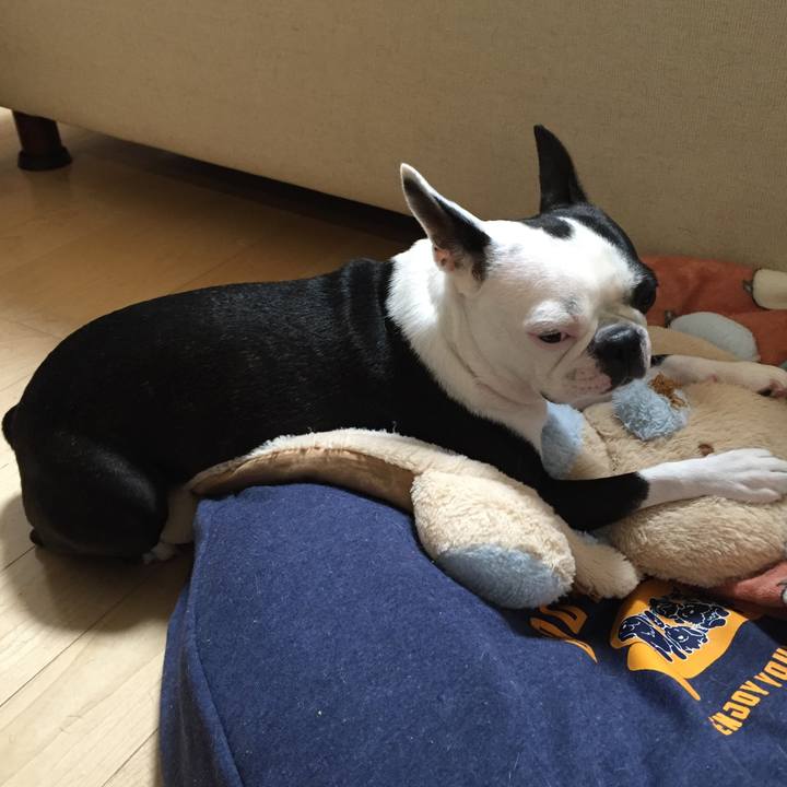 C3e1987a 714a 437b 8ee9 525ee044e5e2