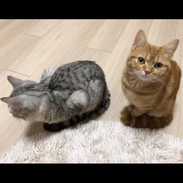 C3e1bcd2 918c 47c6 8e47 861868723fcf