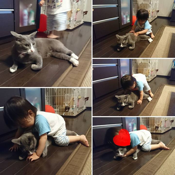 C3e1ecda 03a6 40db 85c4 2deda3055cd6