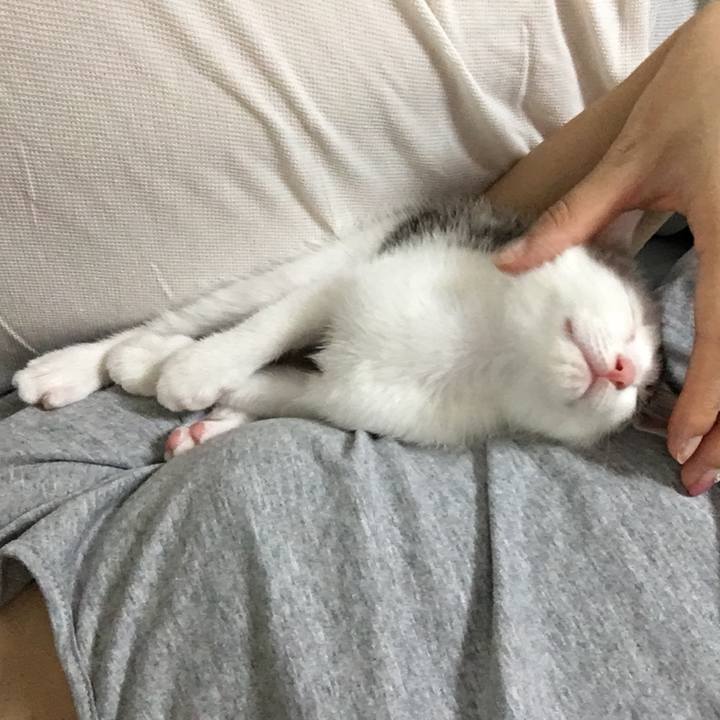 C3e1ee0a 8326 4043 add0 626ac3f46b2b