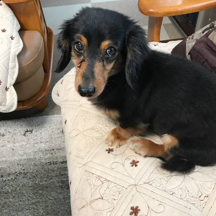 C3e21cb8 7bab 4202 a7e6 9efd17687b34