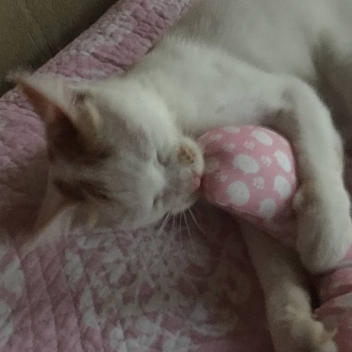 C3e372fe ff90 41cb 923a a568a95ef04c