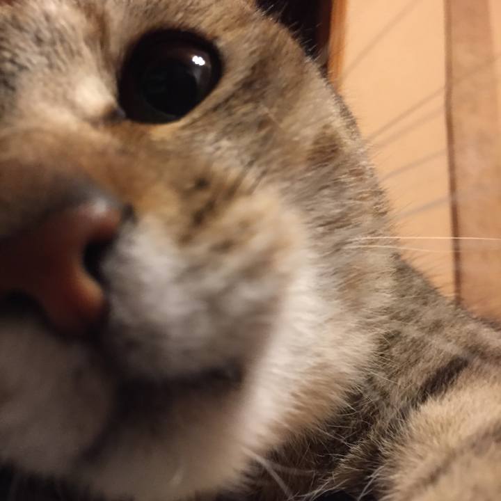 C3e4164d 9a43 4f6d bd39 26eb93ea265c