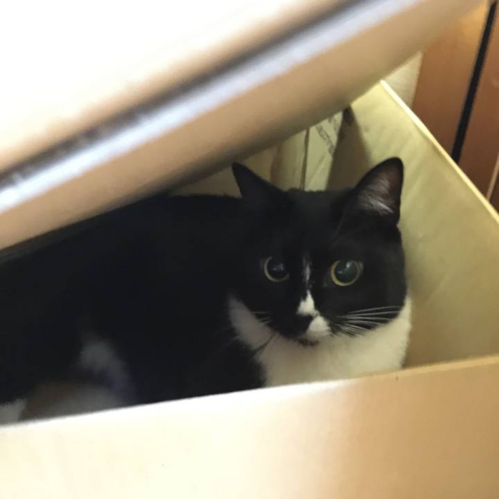 C3e4d6c6 1bbb 43e1 8472 1d770f130123