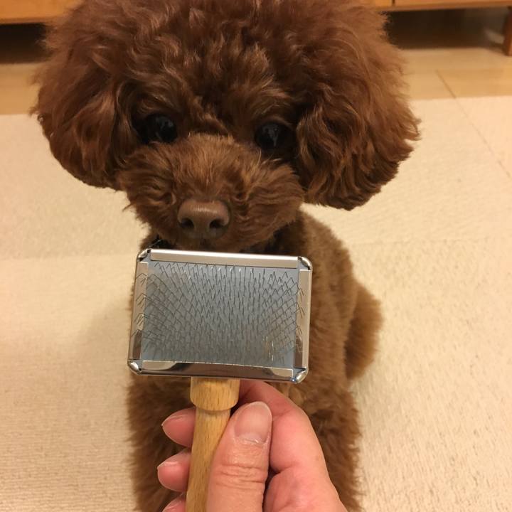 C3e57989 cf26 4a39 8fae 32589bd7fff7