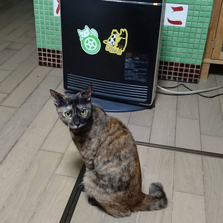 C3e5f782 bda2 4c15 9a84 f37a93689bb4