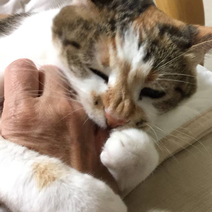 C3e69a7a 3629 4524 94ba 23bc3ecc8407