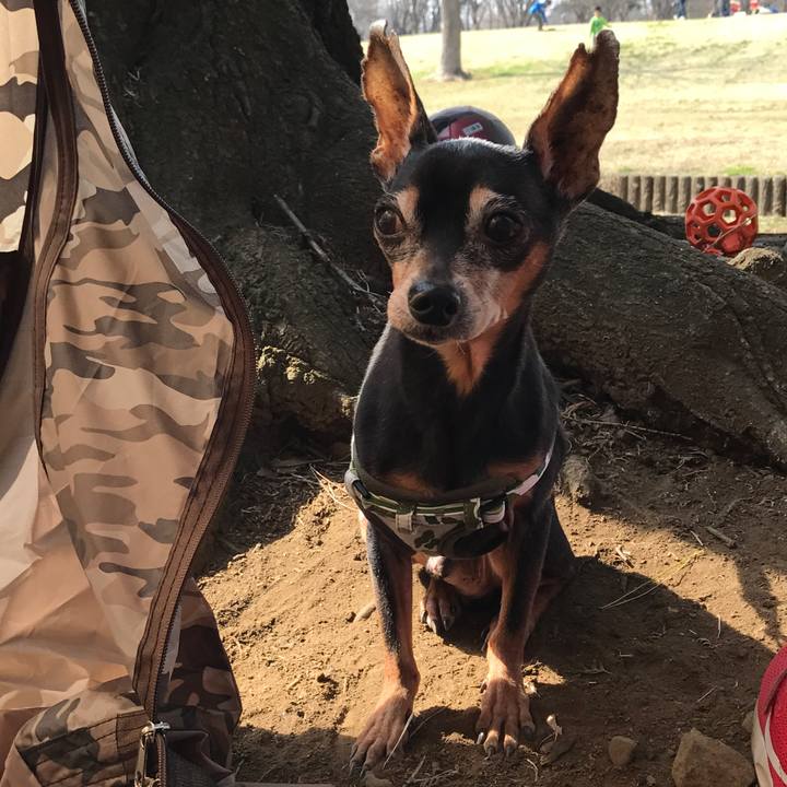 C3e6ec89 ce19 4f0b 9988 374807d56637