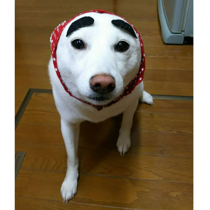 C3e6f97e dad1 4385 a636 29b79aaf9eca