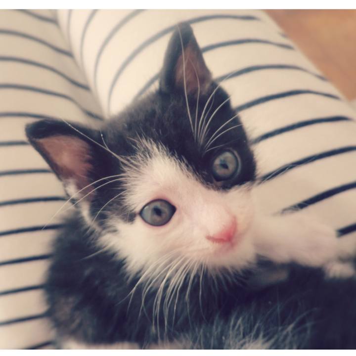 C3e72489 7253 4b08 8b38 fec9e784d15e