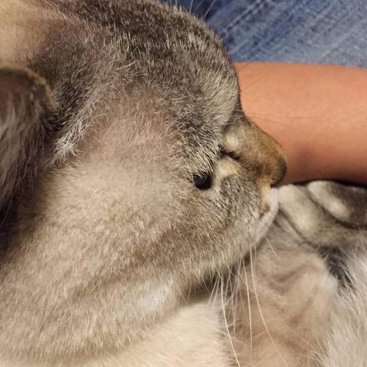 C3e75cd1 3dc8 42c4 9736 5140b7f93492