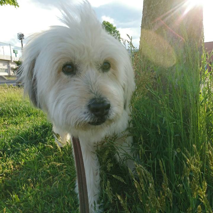 C3e7da30 c931 463e ab5e 280a3166d110