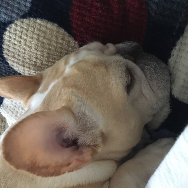 C3e8245f 0762 4400 9de3 a3cd0a4fcc6b