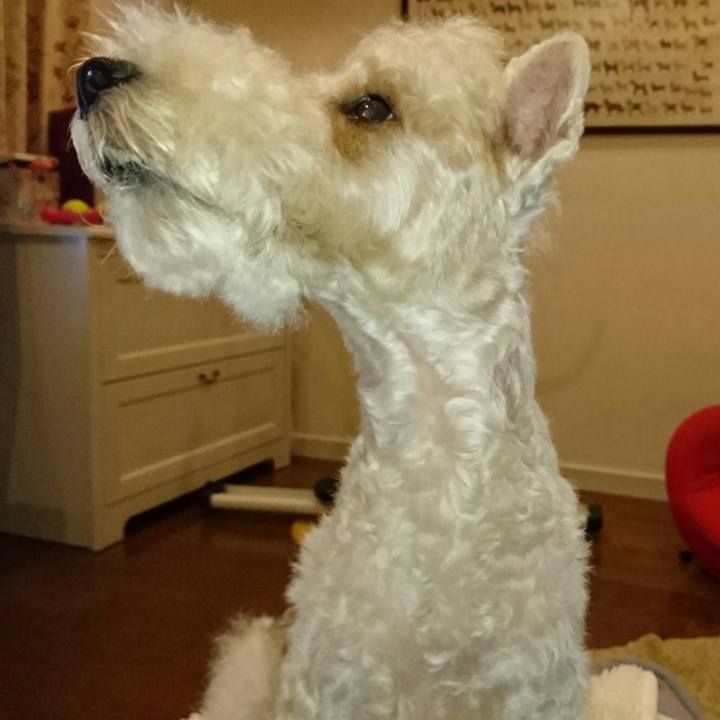 C3e8316e 9bbe 406c 8f3f 3cb4a26ba9d6