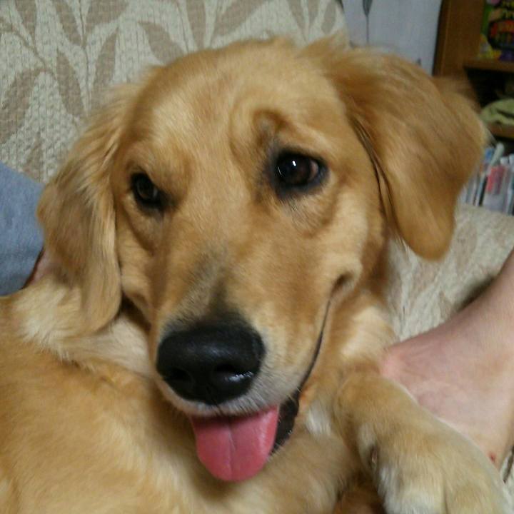 C3e90bf4 5173 4232 9e01 5a3b8901eb61