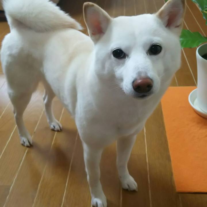 C3e92941 8f6e 4bc3 9c37 42d3c09fc9a9