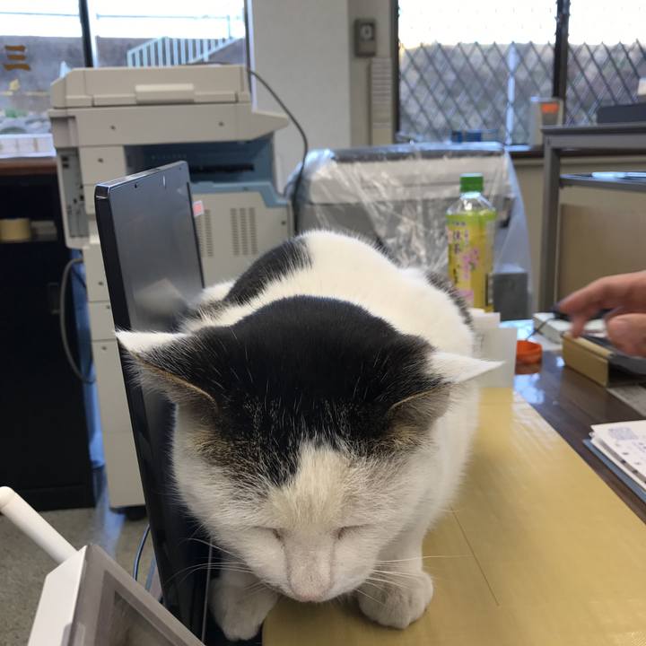 C3e9d42e fcb0 4a2d 8849 f849db1d24b1