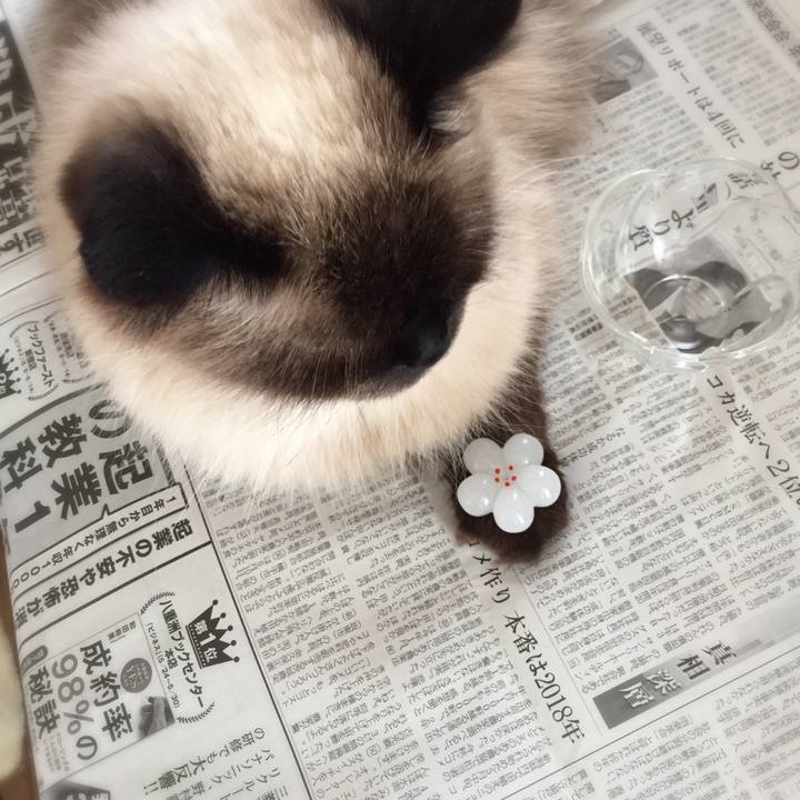 C3e9d770 971a 49c3 ad20 f95f22985156