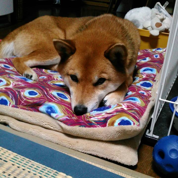 C3ea8111 d36b 4e9d 802f 46e44cc1dd73