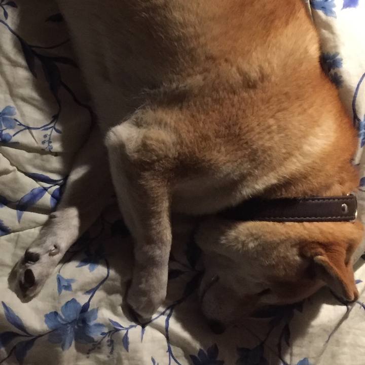 C3eac2d5 6587 4f74 b733 673babcf1c14