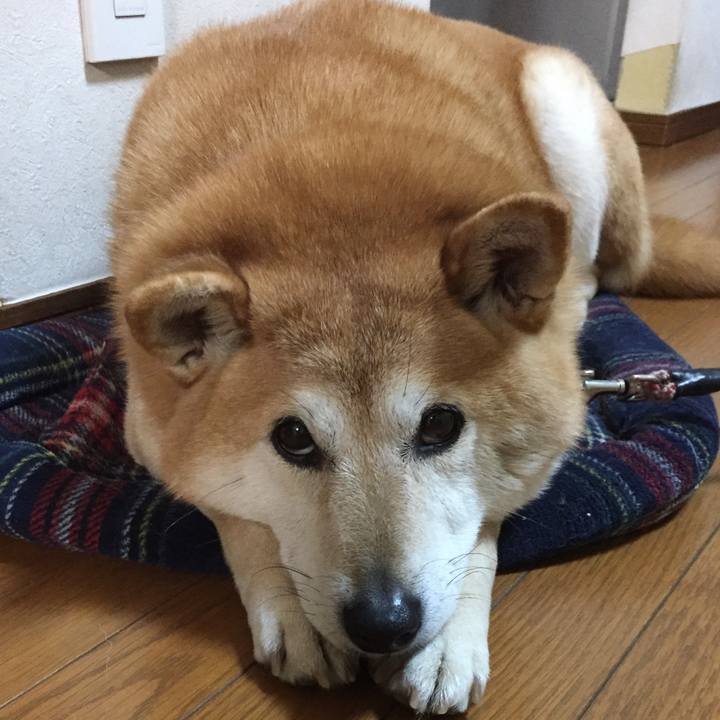 C3eb177c 37ba 440c a9f9 9b29b5b4d9d0