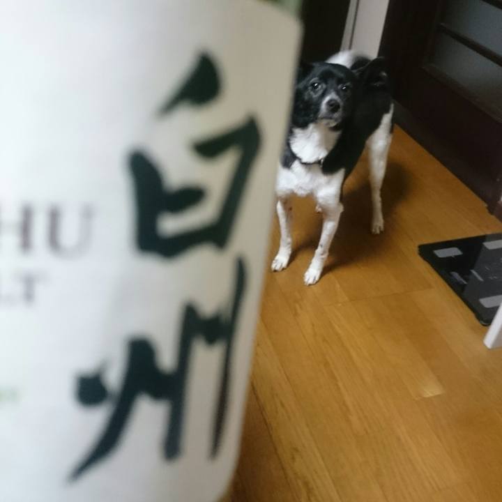 C3eb1a6e 54ea 47b3 892b 6c389f34c521