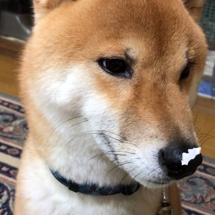 C3eb3053 1a7f 41bd 9041 2f9afda19f7a