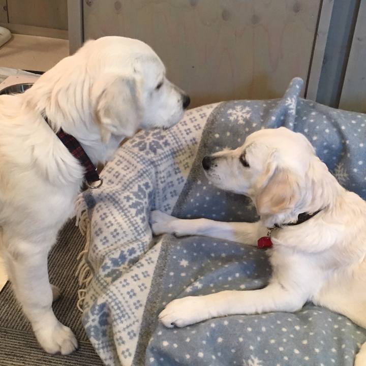 C3eb5435 b08a 4e9e ad46 8deceeabe200