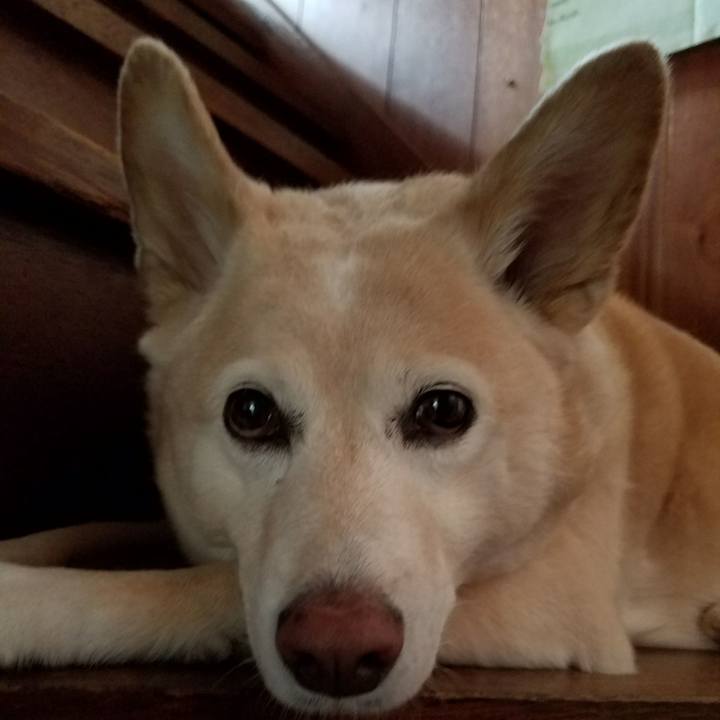 C3eb857a b7db 4f3f a9c6 d18932bfb10c