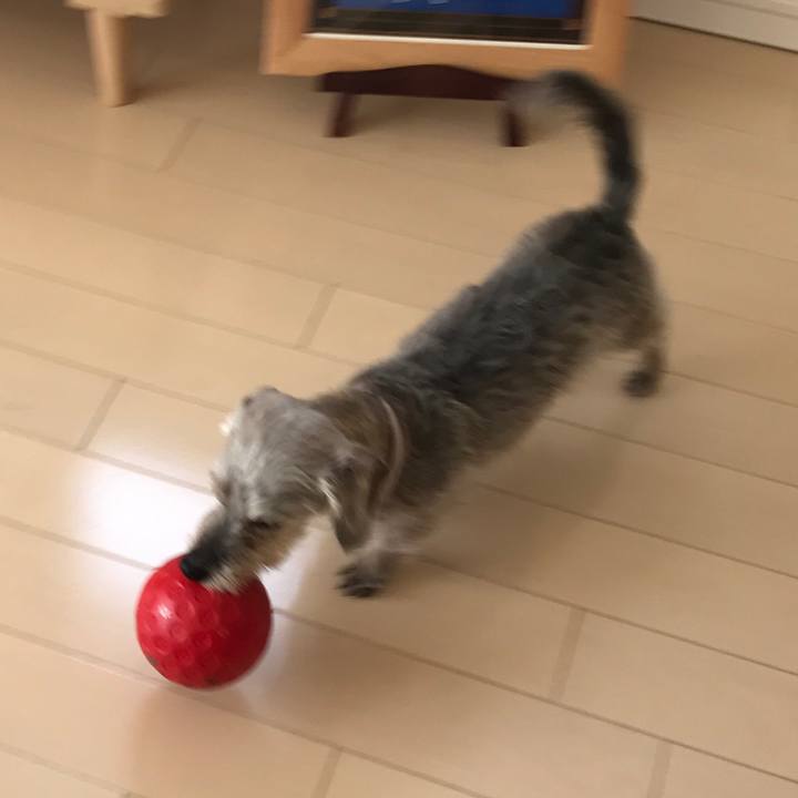 C3eba2e5 0ed6 46b1 8a37 a82239f2fcda